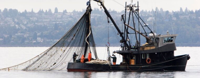 How Commercial Fishing Businesses Can Benefit From Payroll Financing