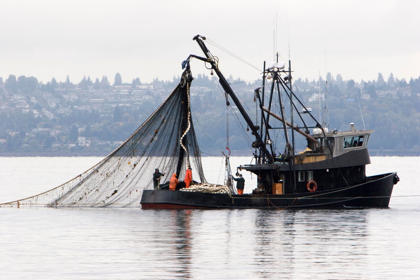 How Commercial Fishing Businesses Can Benefit From Payroll Financing